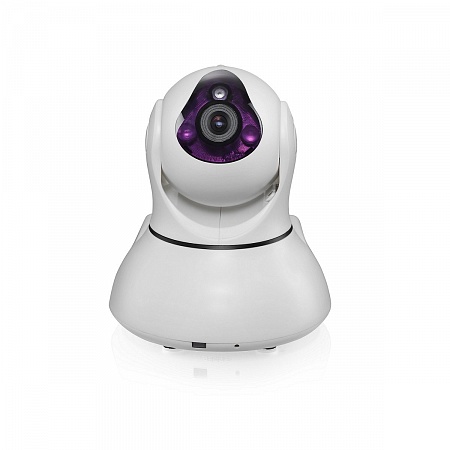 Поворотная Wi Fi видеокамера высокого разрешения с функцией сигнализации и с поддержкой беспроводных охранных датчиков E-Robot PT100RG